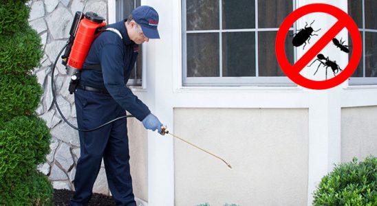 Havza Gümüşkurt İlaçlama böcek ilaçlama ve haşere kontrolü — ilaclama-tr.com
